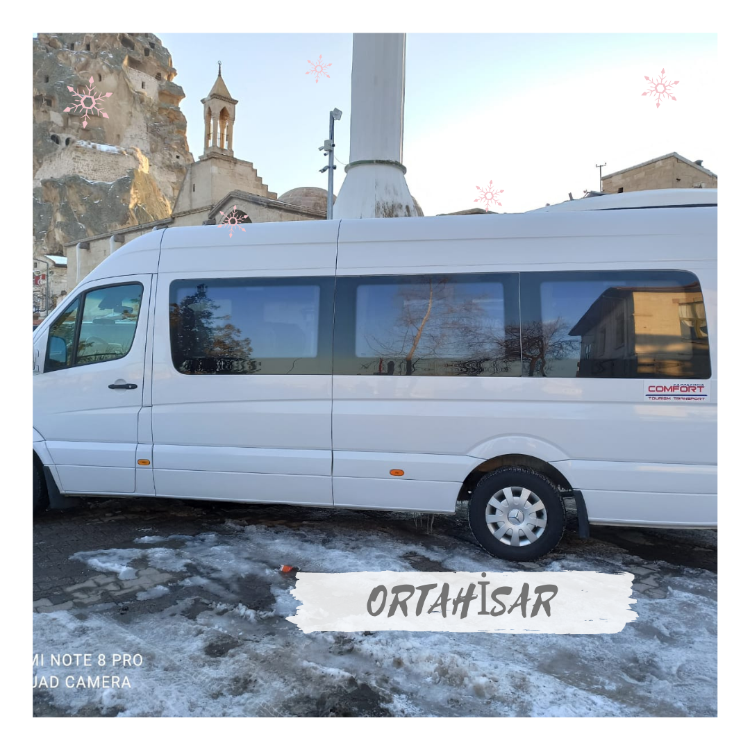 vip-car-rental